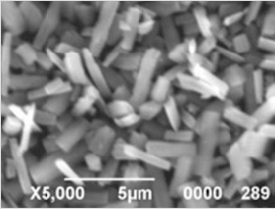 PET背板，創(chuàng)新還是“創(chuàng)心”？